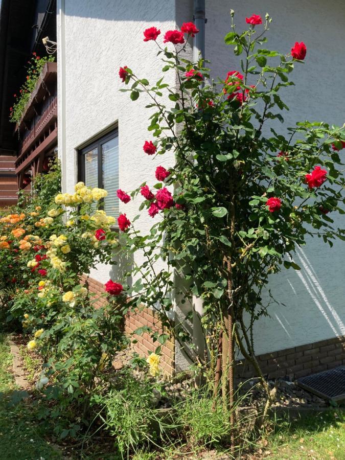 Ferienwohnung Rosengarten Osburg Экстерьер фото